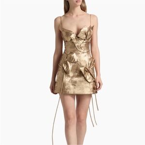 Acler Hillsome Mini Dress